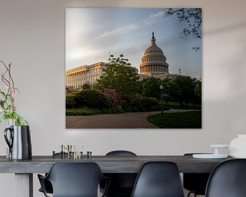 Washington DC