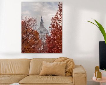 Washington DC