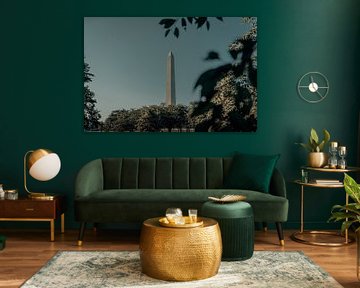 Washington DC