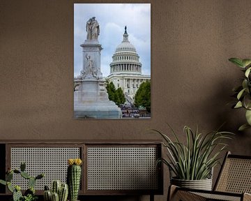 Washington DC