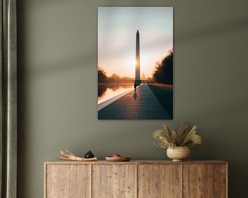 Washington DC
