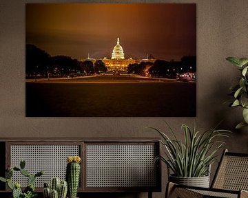 Washington DC