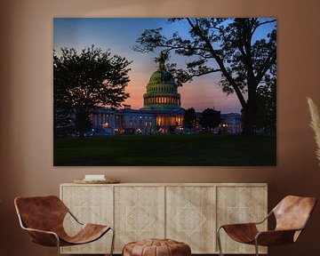 Washington DC