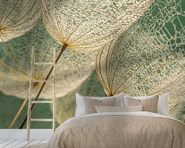 Fluff of a Tragopogon sparkles in the light by Marjolijn van den Berg