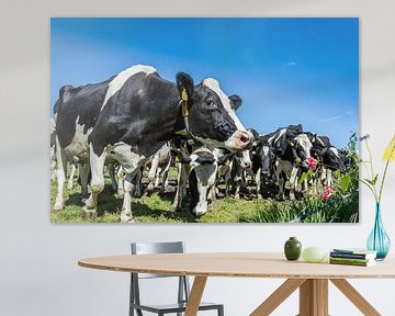 Hollandse Koeien van Elbertsen Fotografie