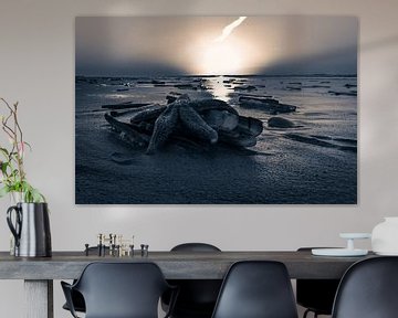 Starfish @ the Beach by Foto van Anno