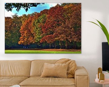 Autumn coloured trees