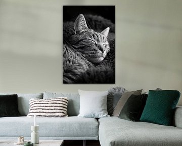 Zwart-witfoto van een slapende kat van Art & Soul Creations