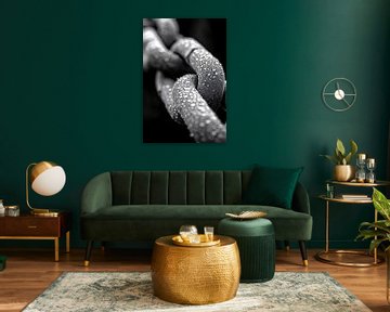 Zwart-witfoto van dauwdruppels op een ketting van Art & Soul Creations