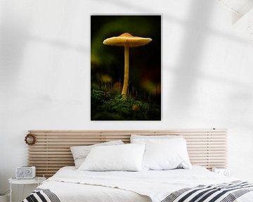 Autumnal atmospheres in the forest by Yvonne Gardner