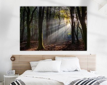 The forest of dancing trees