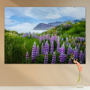 Vue du fjord avec le lupin au premier plan, Islande