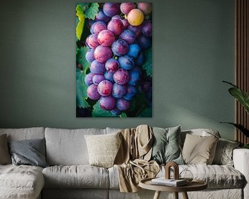 Close-up of Ripe Purple Grapes by Art & Soul Creations