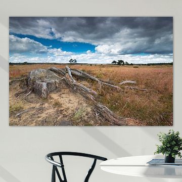 Heidelandschaft mit Baumstamm im Vordergrund und dunklem Himmel. Ein toter Baumstamm im Park de Hoge