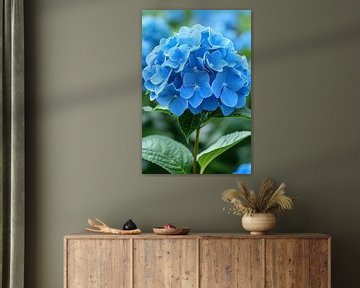 Close-up van een blauwe hortensia bloem van Art & Soul Creations