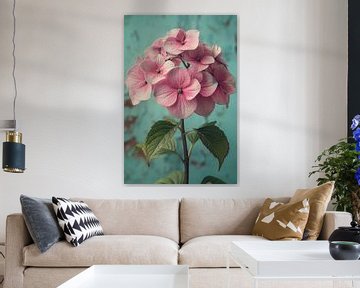 Close-up van Roze Hortensia met Turquoise Achtergrond van Art & Soul Creations