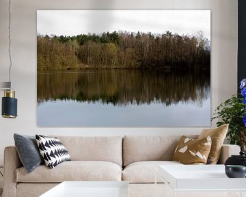 Reflectie