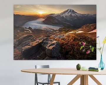 Les secrets du paysage