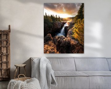Découvrir la beauté cachée