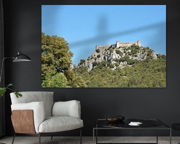Château de Quéribus: Schildwacht van de Corbières van Frank Photos