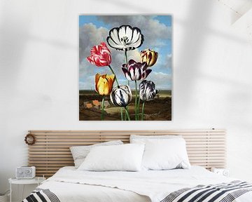 Tulips From Haarlem von Marja van den Hurk