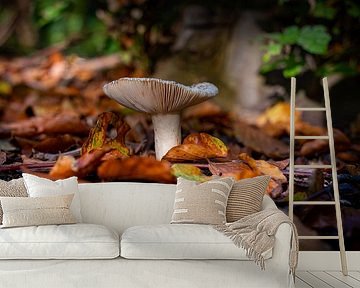 Pilze im Wald 01 von Arthur Bruinen