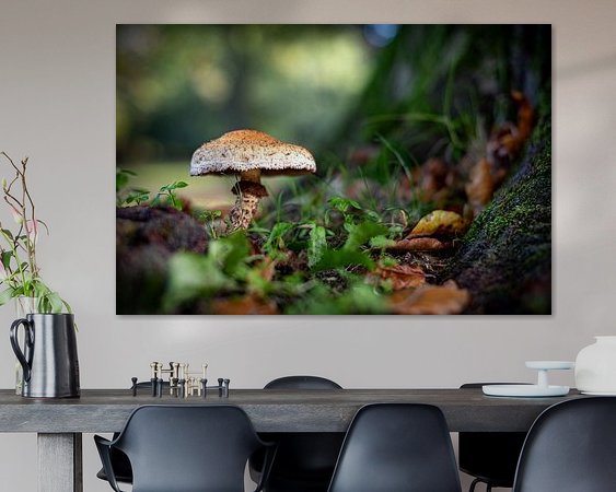 Aperçu de la chambre