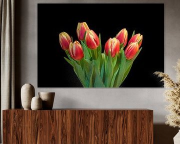 Tulipes d'Amsterdam