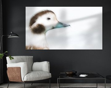 Portrait of an Ice Duck by Stefan Gerrits
