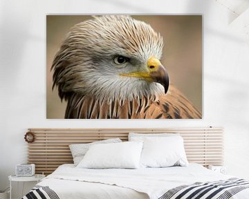 Red kite von Frouwkje Fotografie