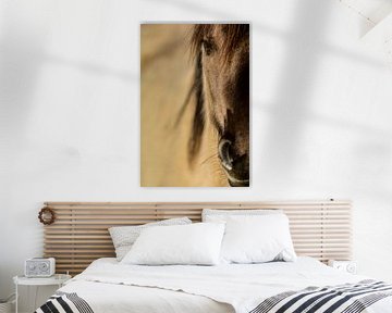 Paarden portret