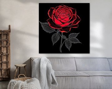 Red rose illustration