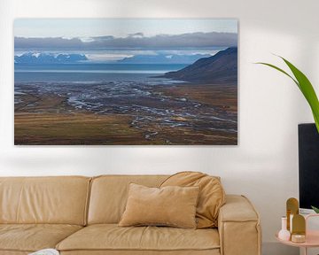 Uitzicht over een wirwar van riviertjes op Spitsbergen richting zee van Anouschka Hendriks