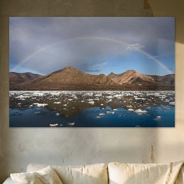 Zee met ijsschotsen met een regenboog