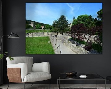 Vaison-la-Romaine, Ruïnes en geplaveide straten van Frank Photos