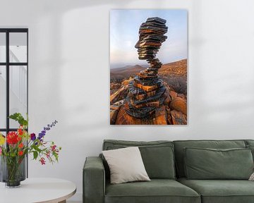Stone Face in Vast Landscape by Imperial Art House