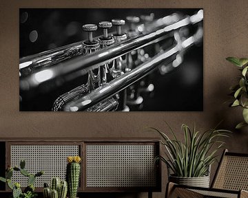 Muziekinstrument in zwart-wit van Gelissen Artworks