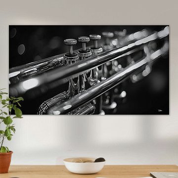 Musikinstrument in Schwarz und Weiß von Gelissen Artworks