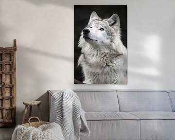 Portret van een Witte Wolf in Zwart-Wit van Imperial Art House