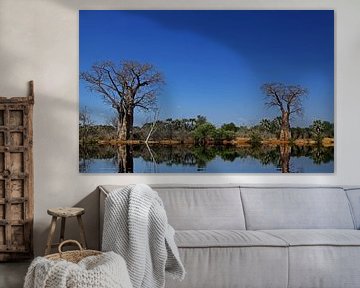 Baobabs at a river in Africa by W. Woyke