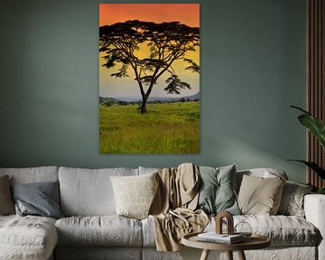 Zonsondergang Serengeti van Jorien Melsen Loos