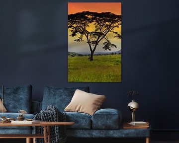 Zonsondergang Serengeti