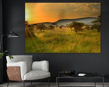 Zonsondergang in de Serengeti, Afrika van Jorien Melsen Loos