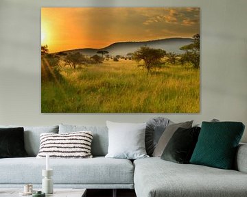 Sonnenuntergang in der Serengeti, Afrika