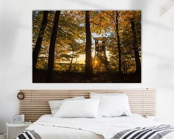 Autumn day in the forest