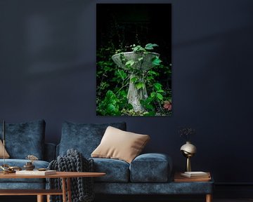 Verloren charme - verborgen vogelbad overwoekerd door de natuur van Infinite Decay