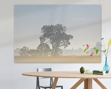 Misty mornings by Hilde Remerie Photography and digital art