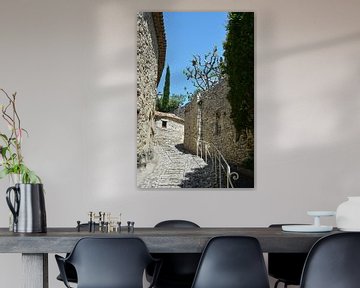 Vaison-la-Romaine, Ruïnes en geplaveide straten van Frank Photos