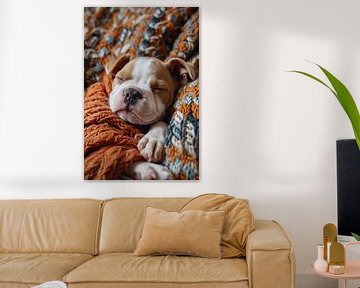 Un chiot bouledogue dort dans une couverture chaude sur Imperial Art House