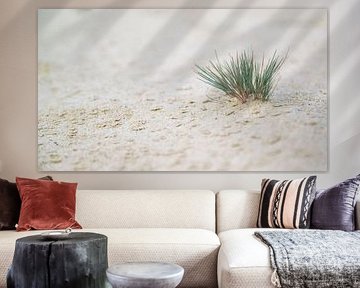 Grashalm im weißen Sand
